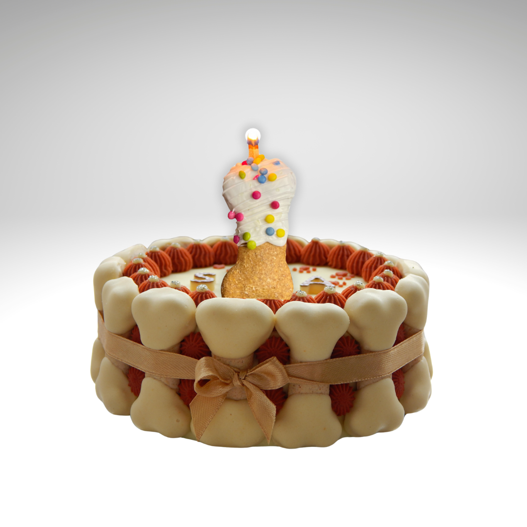 Yum-Pup™ Pawsome  Birthday Cookie Candles for Canines